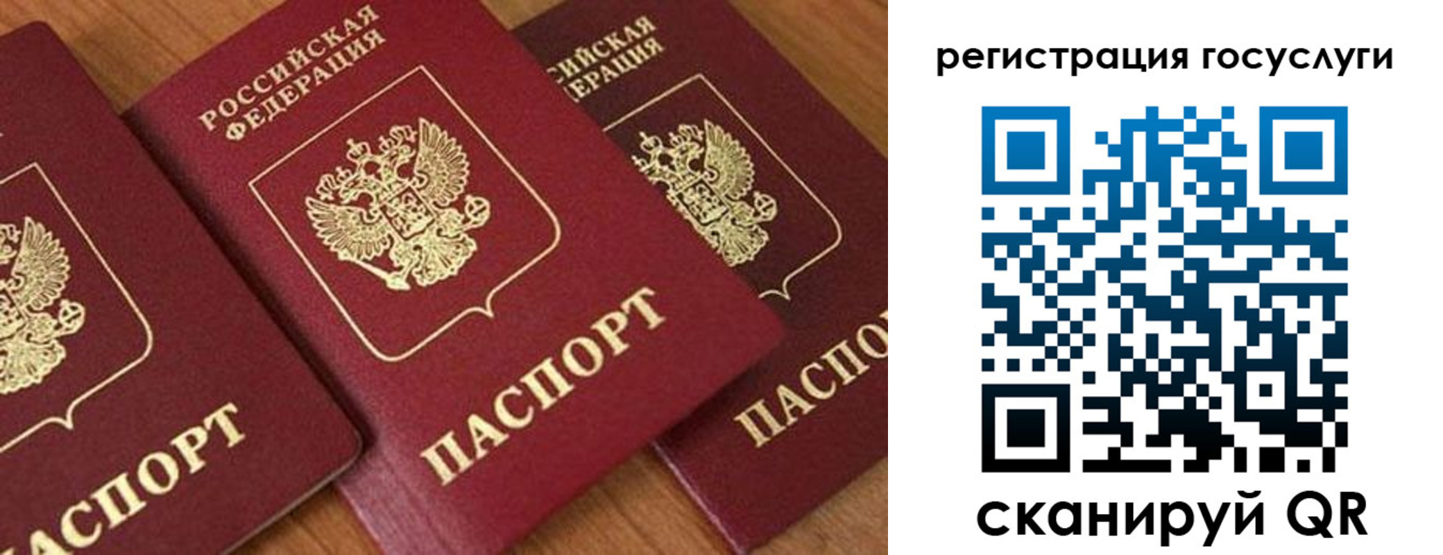 временная регистрация гарантия в Саратовской области
